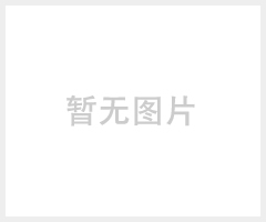 火車(chē)頭HCT生物質(zhì)鍋爐